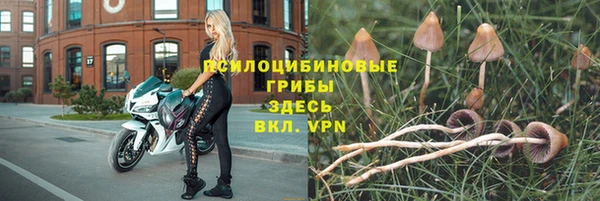прущая мука Беломорск